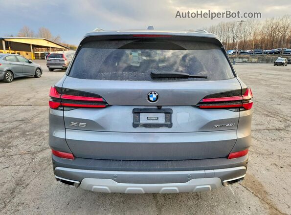 5UX23EU06R9S33072 2024 BMW X5 Silver Widok z tyłu