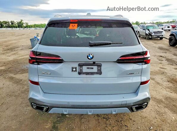 5UX23EU09S9X79502 2025 BMW X5 Серый Вид сзади