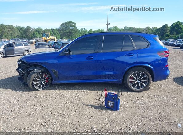 5UX33EU04S9X45116 2025 BMW X5 Синий Панорамный вид салона 360°