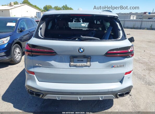 5UX33EU05R9T83114 2024 BMW X5 Gray 