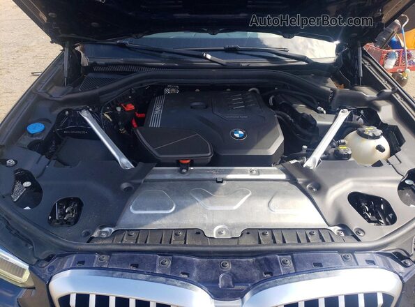 5UX43DP06P9N51205 2023 BMW X3 Синий 