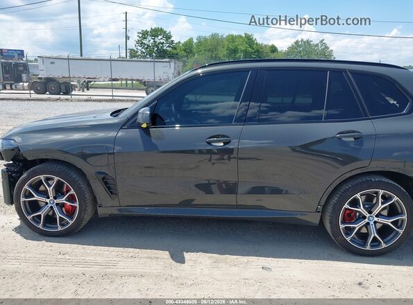 5UX43EU03S9Y07321 2025 BMW X5 Gray სალონის 360-გრადუსიანი ხედი