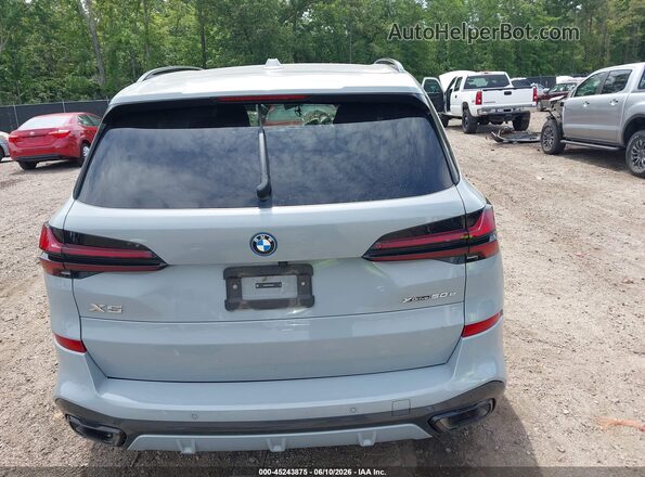 5UX43EU05R9U20781 2024 BMW X5 Gray 