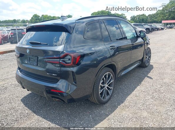 5UX53DP01R9U27267 2024 BMW X3 Серый Задняя правая четверть