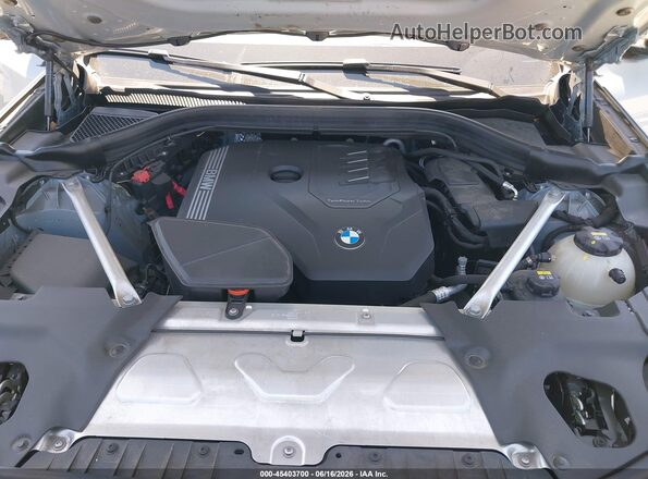 5UX53DP06N9K83645 2022 BMW X3 Gray Widok z tyłu