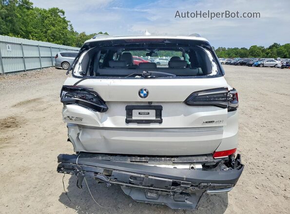 5UXCR6C01P9R27000 2023 BMW X5 Белый Вид сзади
