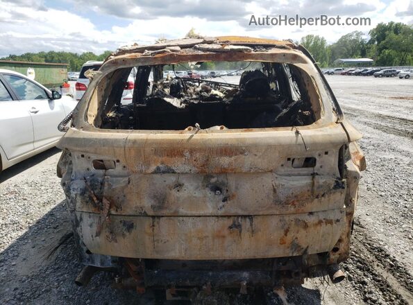 5UXCR6C08L9B32894 2020 BMW X5 Burn Հետևի տեսք