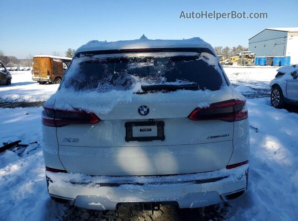 5UXCR6C08L9B49579 2020 BMW X5 Белый Вид сзади