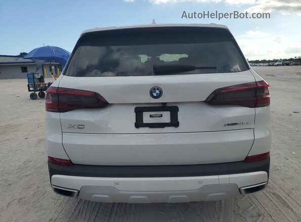 5UXTA6C02P9N49776 2023 BMW X5 White Вид ззаду