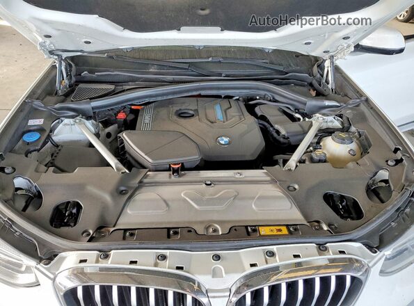 5UXTS1C02M9E84281 2021 BMW X3 Белый 
