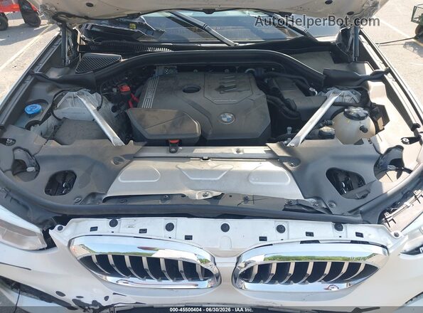 5UXTY5C09M9G88453 2021 BMW X3 White Вид ззаду