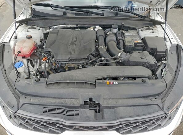 5XXG44J86RG261983 2024 KIA K5 White 