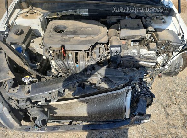 5XXGT4L31LG442825 2020 KIA OPTIMA White 