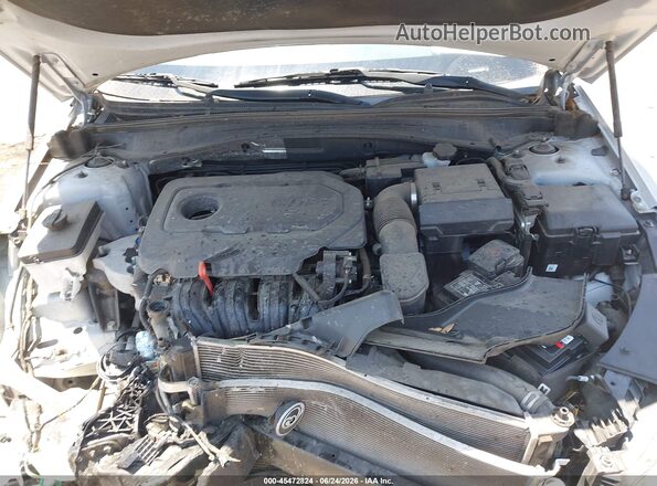 5XXGT4L36LG440147 2020 KIA OPTIMA Silver Widok z tyłu