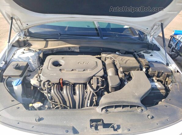 5XXGT4L3XGG043191 2016 KIA OPTIMA Белый 