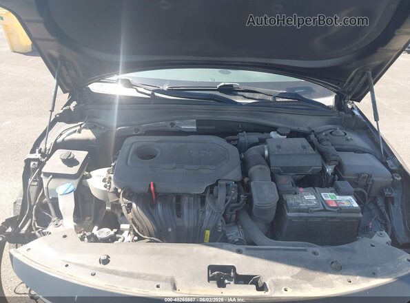 5XXGT4L3XKG338090 2019 KIA OPTIMA Black Вид ззаду