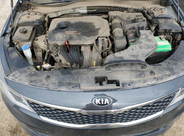 5XXGU4L39GG101384 2016 KIA OPTIMA Угольный Вид задней части салона