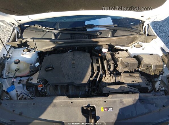 5XYK33AF0PG135827 2023 KIA SPORTAGE White Rear view