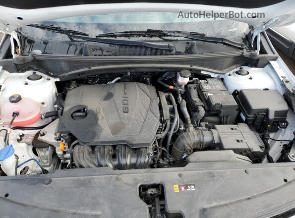 5XYK33AF8PG133677 2023 KIA SPORTAGE White Вид задньої частини салону