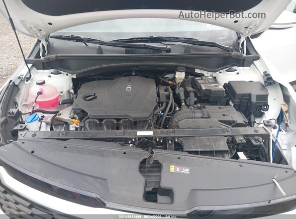 5XYK33DF4TG334370 2026 KIA SPORTAGE Белый Вид сзади