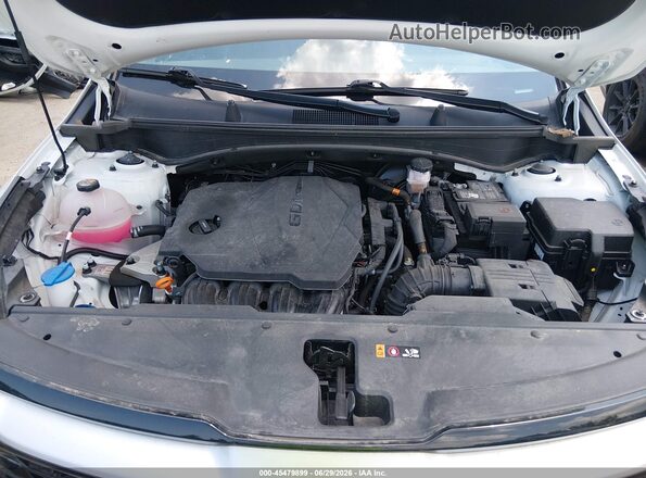 5XYK33DF8RG216444 2024 KIA SPORTAGE White Rear view