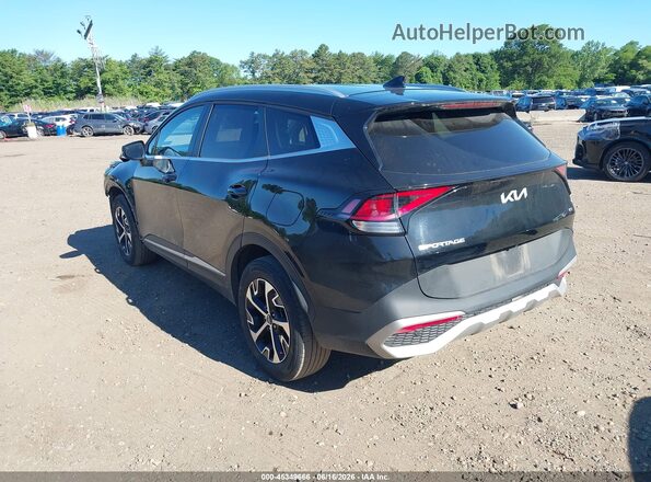 5XYK3CDF5RG148961 2024 KIA SPORTAGE Black Tył lewy
