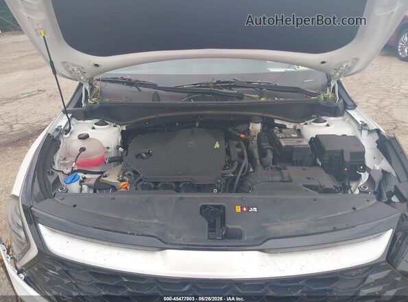 5XYK3CDF8RG146489 2024 KIA SPORTAGE Белый Вид сзади