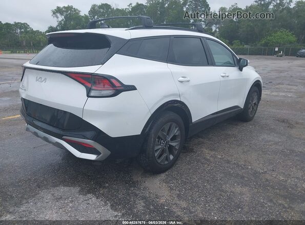 5XYK43DF2RG203024 2024 KIA SPORTAGE Белый Задняя правая четверть