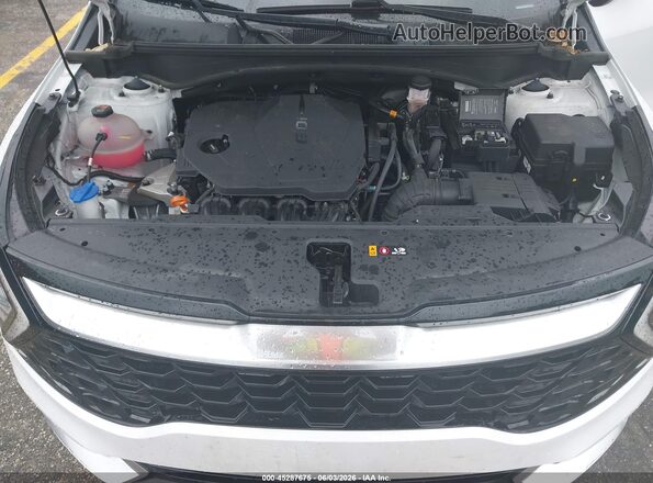 5XYK43DF2RG203024 2024 KIA SPORTAGE Белый Вид сзади