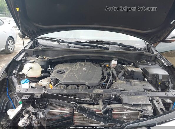 5XYK53DF0RG232695 2024 KIA SPORTAGE Black Rear view
