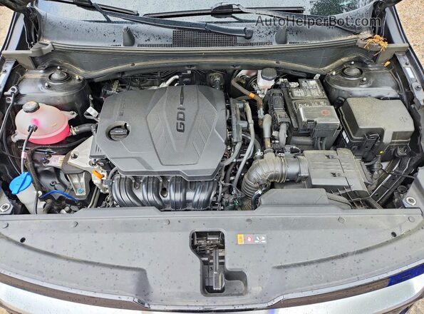 5XYK53DF6RG200639 2024 KIA SPORTAGE Black Вид задньої частини салону