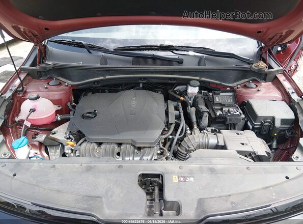 5XYK6CDF4SG254539 2025 KIA SPORTAGE Бордовый Вид сзади