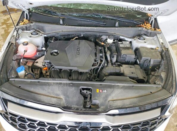 5XYK6CDF5RG145095 2024 KIA SPORTAGE Gray 