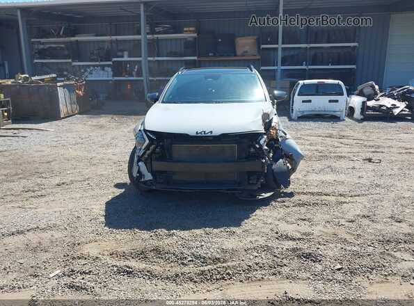 5XYK6CDFXSG286699 2025 KIA SPORTAGE Gray Вид задньої частини салону