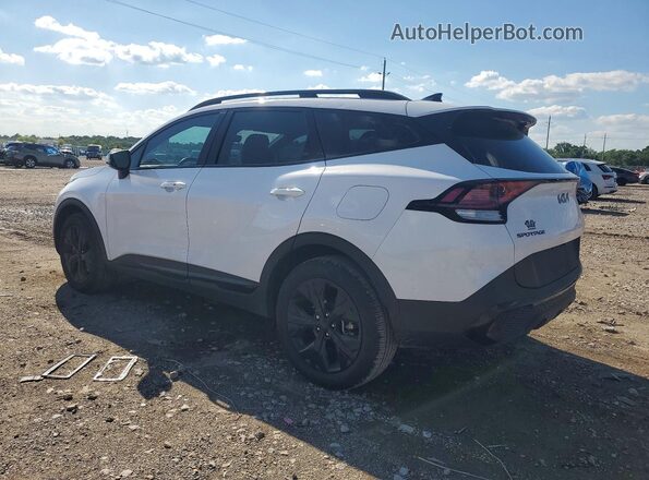 5XYK6CDFXSG288517 2025 KIA SPORTAGE White Tył lewy