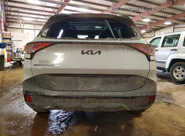 5XYK7CDF3SG271104 2025 KIA SPORTAGE Серый Вид сзади