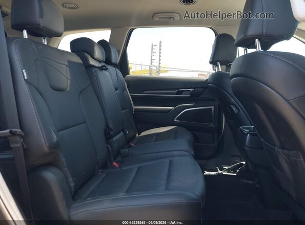 5XYP24GC5SG580469 2025 KIA TELLURIDE Черный Вид наклейки с VIN-кодом