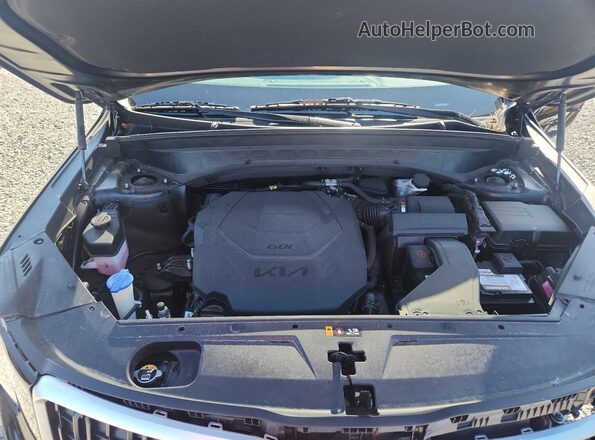 5XYP24GC8RG461857 2024 KIA TELLURIDE Black 