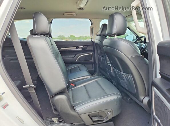 5XYP24HC7LG093225 2020 KIA TELLURIDE White Vista de los asientos traseros