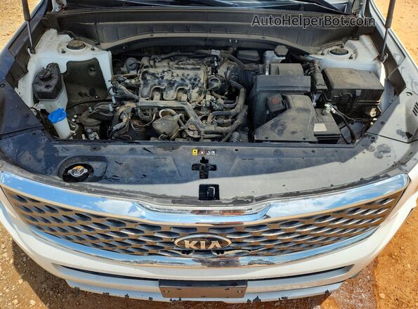 5XYP2DHC6MG096926 2021 KIA TELLURIDE White Շարժիչի բաժամունքի տեսք