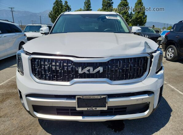 5XYP34GC0RG545412 2024 KIA TELLURIDE White 