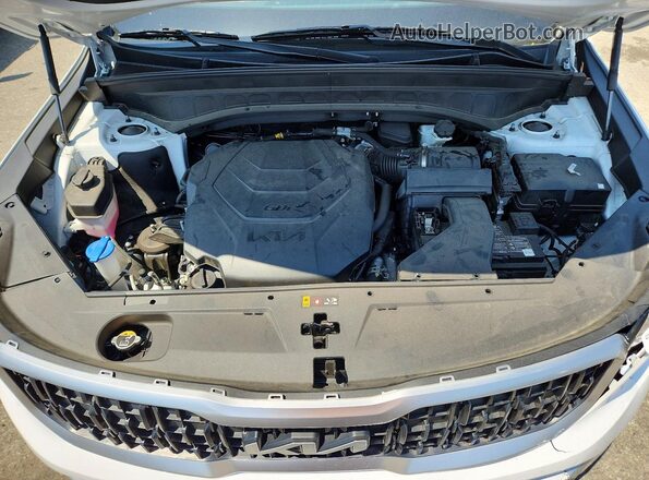 5XYP34GC0RG545412 2024 KIA TELLURIDE White 