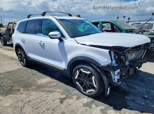5XYP34GC2RG476898 2024 KIA TELLURIDE Белый 