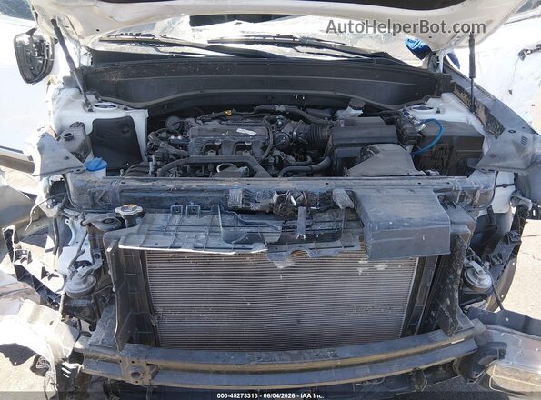 5XYP34GC5RG462333 2024 KIA TELLURIDE White Вид ззаду