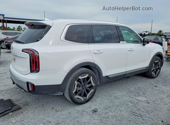 5XYP34GC7RG526517 2024 KIA TELLURIDE White 