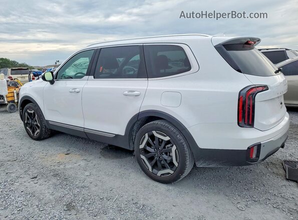 5XYP34GC7RG526517 2024 KIA TELLURIDE White 