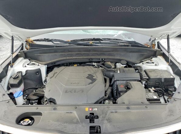 5XYP34GC7RG526517 2024 KIA TELLURIDE White 