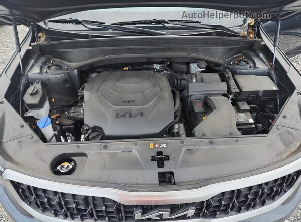 5XYP34GC8RG556027 2024 KIA TELLURIDE Gray 
