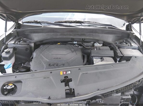 5XYP34GCXSG653901 2025 KIA TELLURIDE Black Widok z tyłu