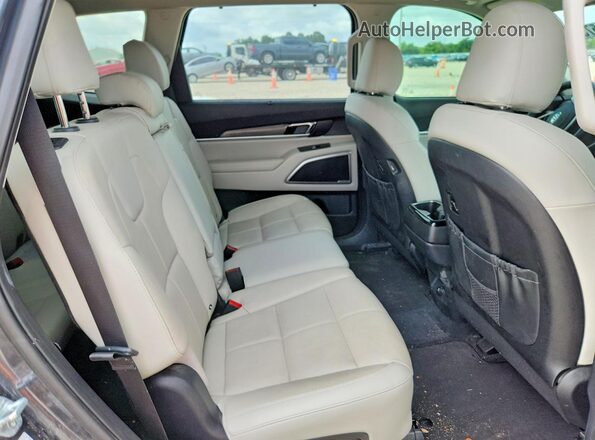 5XYP34HC0MG125611 2021 KIA TELLURIDE Угольный Вид задней части салона